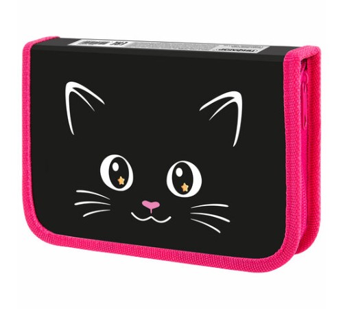 Пенал ПИФАГОР, 1 отделение, ламинированный картон, 19х11 см, 