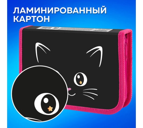 Пенал ПИФАГОР, 1 отделение, ламинированный картон, 19х11 см, 