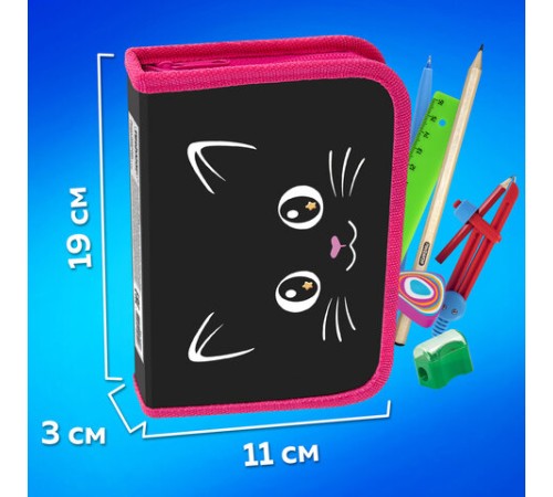 Пенал ПИФАГОР, 1 отделение, ламинированный картон, 19х11 см, 