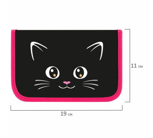 Пенал ПИФАГОР, 1 отделение, ламинированный картон, 19х11 см, 