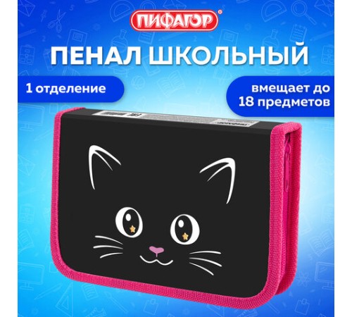Пенал ПИФАГОР, 1 отделение, ламинированный картон, 19х11 см, 