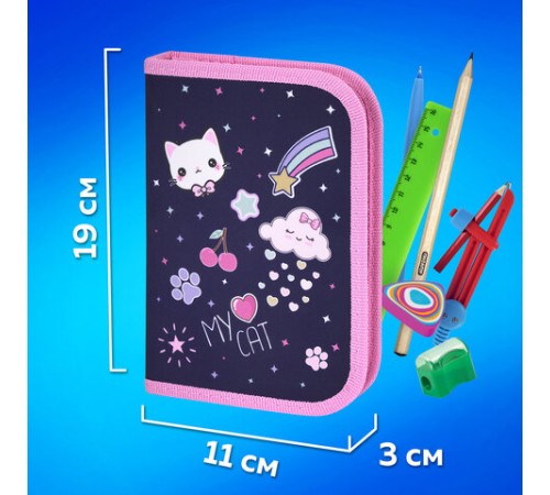 Пенал ПИФАГОР, 1 отделение, полиэстер, 19х13 см, 