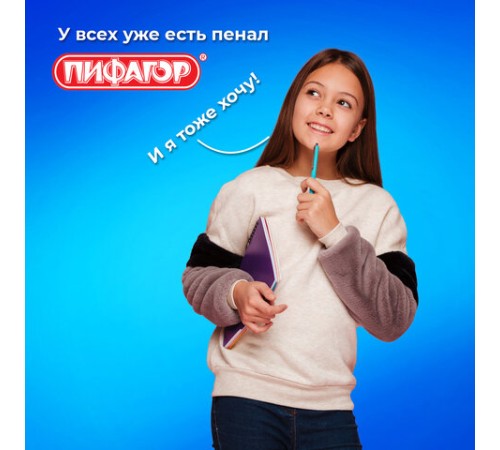 Пенал ПИФАГОР, 1 отделение, полиэстер, 19х13 см, 