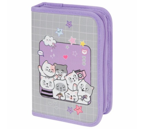 Пенал ПИФАГОР, 1 отделение, 2 откидные планки, полиэстер, 20х14 см, 