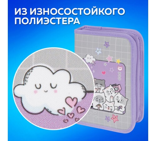 Пенал ПИФАГОР, 1 отделение, 2 откидные планки, полиэстер, 20х14 см, 