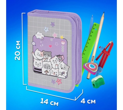 Пенал ПИФАГОР, 1 отделение, 2 откидные планки, полиэстер, 20х14 см, 