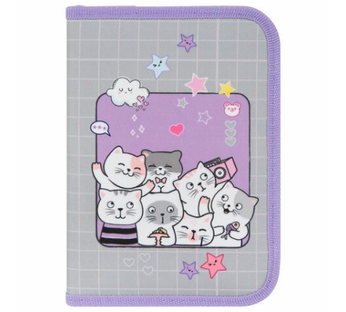 Пенал ПИФАГОР, 1 отделение, 2 откидные планки, полиэстер, 20х14 см, 