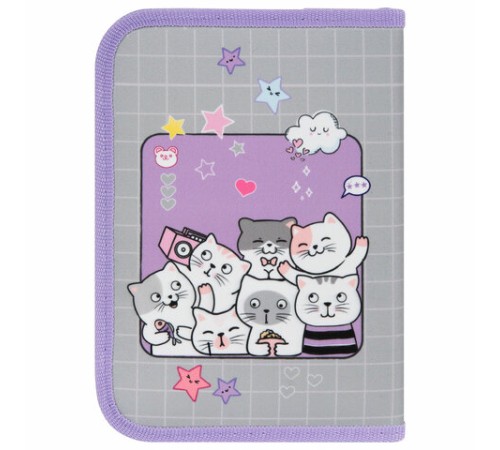 Пенал ПИФАГОР, 1 отделение, 2 откидные планки, полиэстер, 20х14 см, 