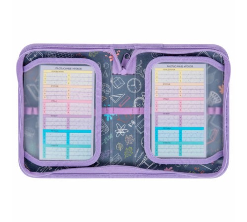 Пенал ПИФАГОР, 1 отделение, 2 откидные планки, полиэстер, 20х14 см, 