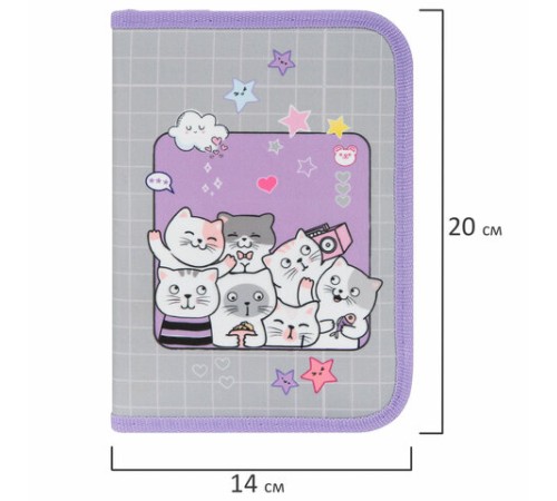 Пенал ПИФАГОР, 1 отделение, 2 откидные планки, полиэстер, 20х14 см, 