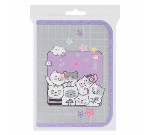 Пенал ПИФАГОР, 1 отделение, 2 откидные планки, полиэстер, 20х14 см, 