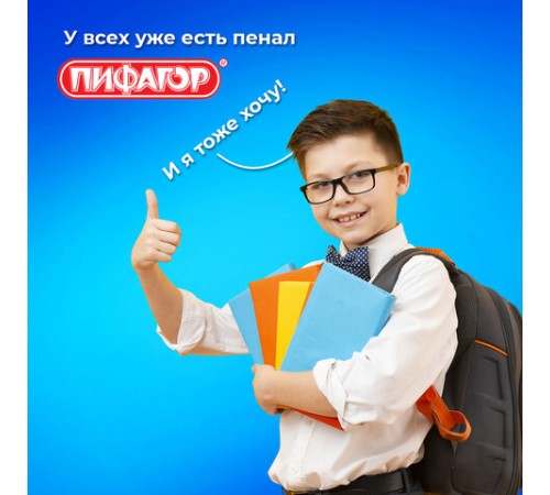 Пенал ПИФАГОР, 1 отделение, 2 откидные планки, полиэстер, 20х14 см, 