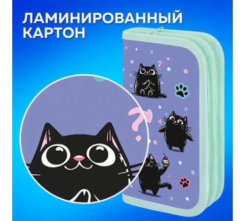 Пенал ПИФАГОР, 2 отделения, ламинированный картон, 19х11 см, 