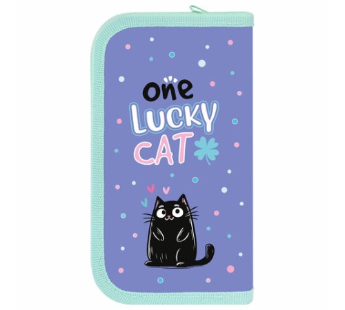 Пенал ПИФАГОР, 2 отделения, ламинированный картон, 19х11 см, 