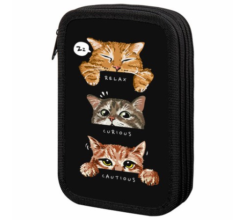 Пенал ПИФАГОР, 3 отделения, ламинированный картон, 19х11 см, 