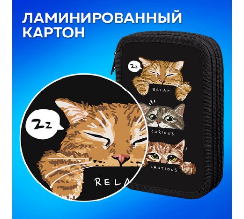 Пенал ПИФАГОР, 3 отделения, ламинированный картон, 19х11 см, 