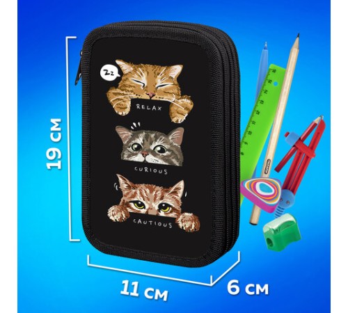 Пенал ПИФАГОР, 3 отделения, ламинированный картон, 19х11 см, 