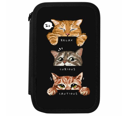 Пенал ПИФАГОР, 3 отделения, ламинированный картон, 19х11 см, 