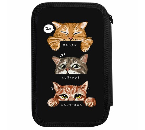 Пенал ПИФАГОР, 3 отделения, ламинированный картон, 19х11 см, 