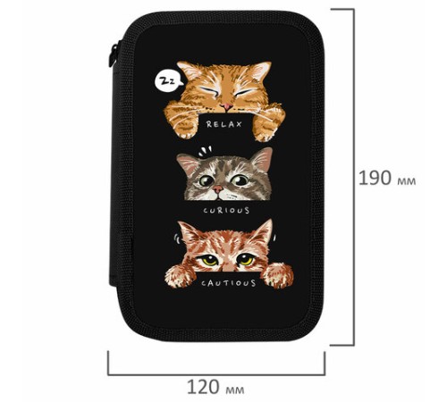 Пенал ПИФАГОР, 3 отделения, ламинированный картон, 19х11 см, 