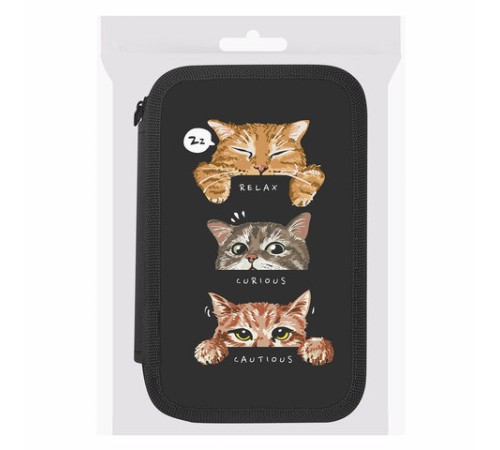 Пенал ПИФАГОР, 3 отделения, ламинированный картон, 19х11 см, 