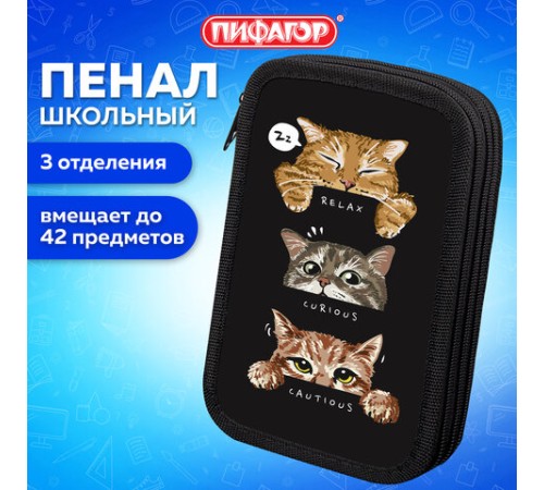 Пенал ПИФАГОР, 3 отделения, ламинированный картон, 19х11 см, 