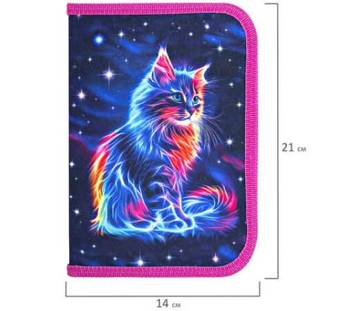 Пенал BRAUBERG, 1 отделение, полиэстер, 21х14 см, 