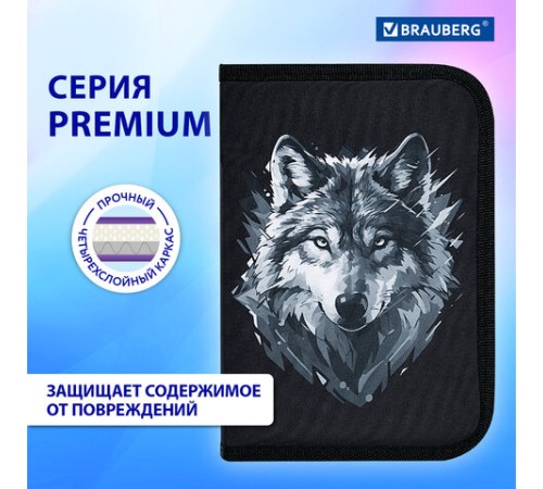 Пенал BRAUBERG, 1 отделение, полиэстер, 21х14 см, 