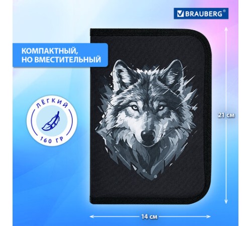 Пенал BRAUBERG, 1 отделение, полиэстер, 21х14 см, 