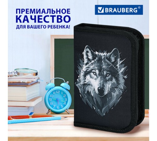 Пенал BRAUBERG, 1 отделение, полиэстер, 21х14 см, 