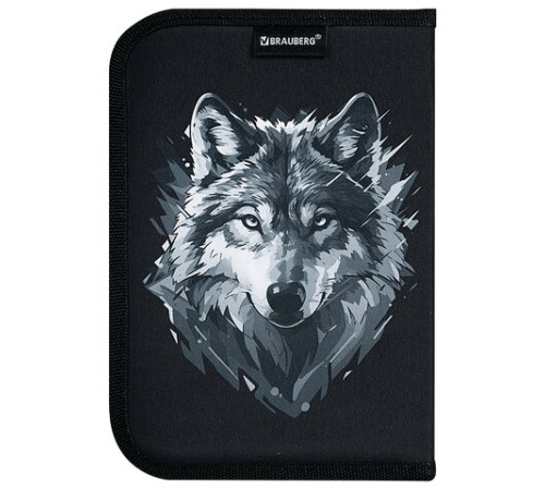 Пенал BRAUBERG, 1 отделение, полиэстер, 21х14 см, 