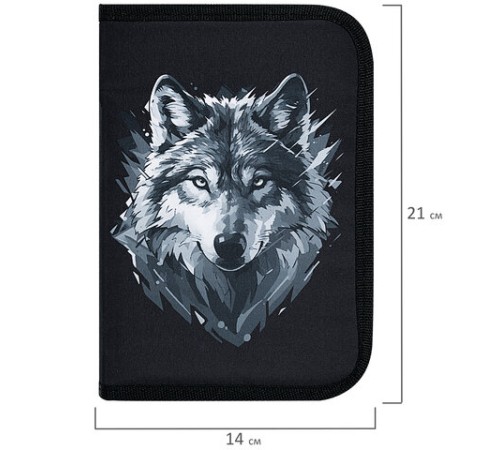 Пенал BRAUBERG, 1 отделение, полиэстер, 21х14 см, 