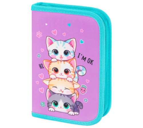 Пенал BRAUBERG, 1 отделение, 1 откидная планка, полиэстер, 21х14 см, 