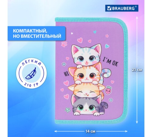 Пенал BRAUBERG, 1 отделение, 1 откидная планка, полиэстер, 21х14 см, 