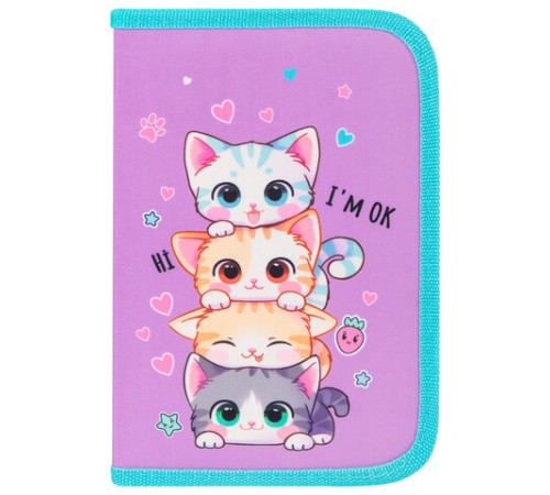 Пенал BRAUBERG, 1 отделение, 1 откидная планка, полиэстер, 21х14 см, 