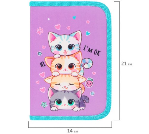 Пенал BRAUBERG, 1 отделение, 1 откидная планка, полиэстер, 21х14 см, 