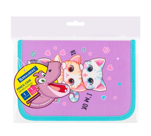 Пенал BRAUBERG, 1 отделение, 1 откидная планка, полиэстер, 21х14 см, 