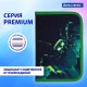 Пенал BRAUBERG, 1 отделение, 1 откидная планка, полиэстер, 21х14 см, 