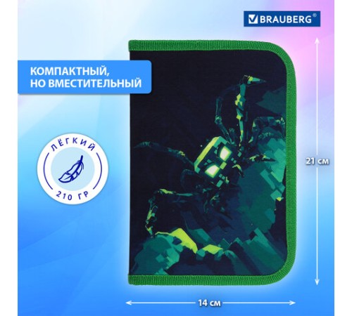 Пенал BRAUBERG, 1 отделение, 1 откидная планка, полиэстер, 21х14 см, 