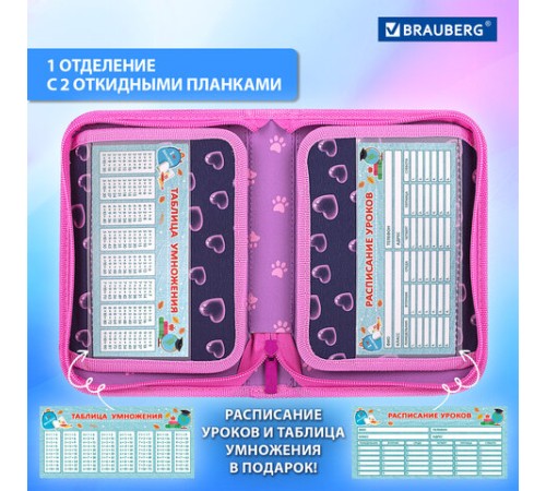 Пенал BRAUBERG, 1 отделение, 2 откидные планки, полиэстер, 21х14 см, 
