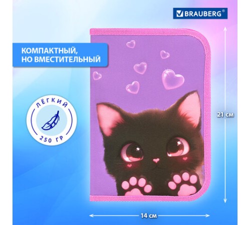 Пенал BRAUBERG, 1 отделение, 2 откидные планки, полиэстер, 21х14 см, 