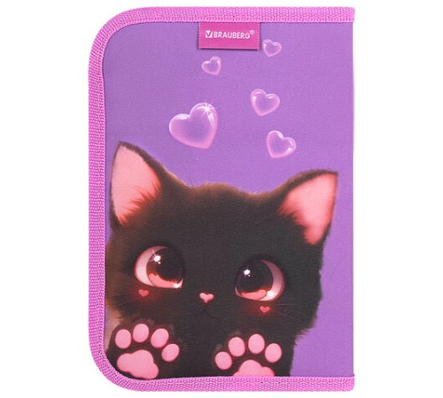 Пенал BRAUBERG, 1 отделение, 2 откидные планки, полиэстер, 21х14 см, 