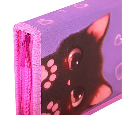 Пенал BRAUBERG, 1 отделение, 2 откидные планки, полиэстер, 21х14 см, 