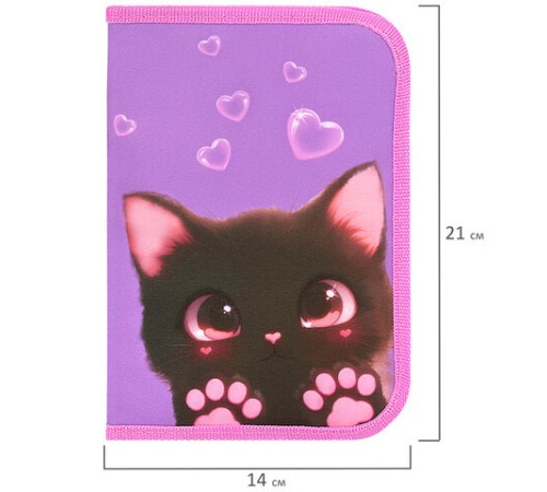 Пенал BRAUBERG, 1 отделение, 2 откидные планки, полиэстер, 21х14 см, 