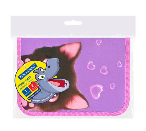 Пенал BRAUBERG, 1 отделение, 2 откидные планки, полиэстер, 21х14 см, 