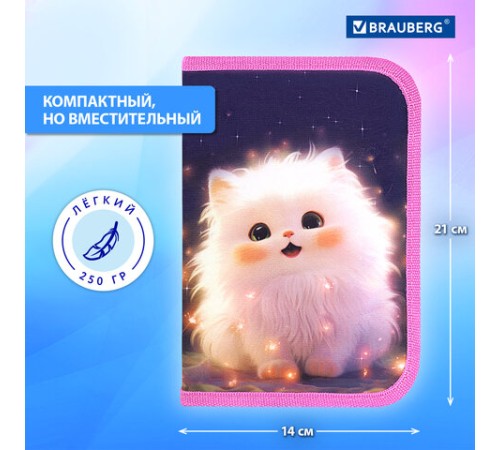 Пенал BRAUBERG, 1 отделение, 2 откидные планки, полиэстер, 21х14 см, 