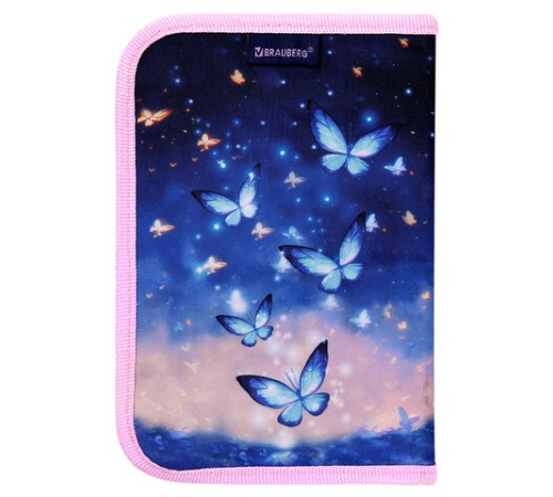 Пенал BRAUBERG с наполнением, 1 отделение, 1 откидная планка, 24 предмета, 21х14 см, 