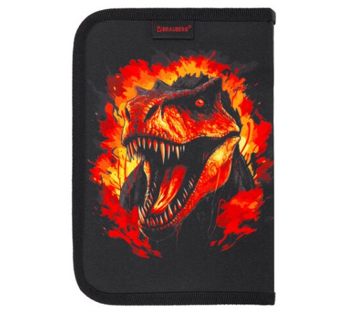 Пенал BRAUBERG с наполнением, 1 отделение, 1 откидная планка, 24 предмета, 21х14 см, 