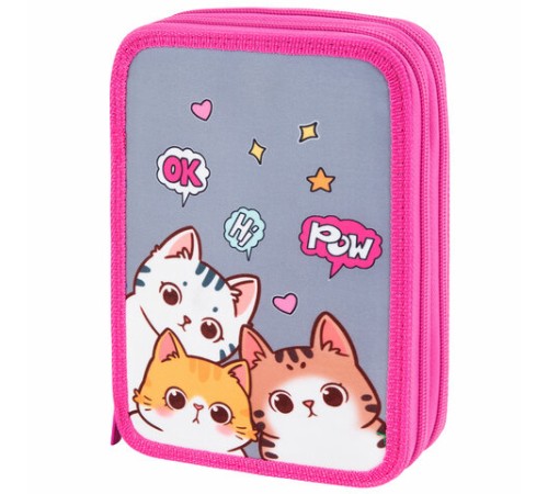 Пенал BRAUBERG, 2 отделения, полиэстер, 21х14 см, 