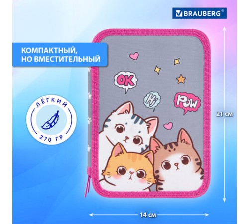 Пенал BRAUBERG, 2 отделения, полиэстер, 21х14 см, 